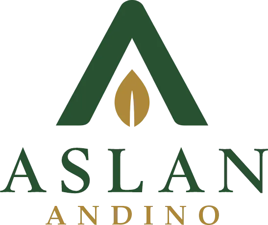 Aslan Andino
